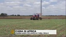 China invests millions in Zambia's farming sector