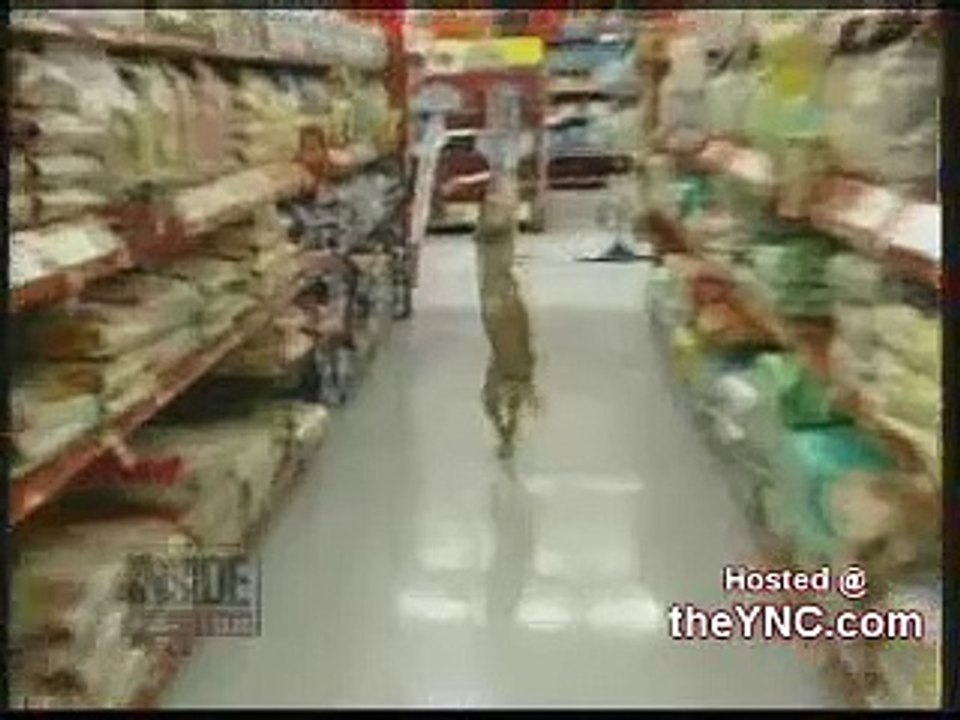Este pero solo tiene 2 patas