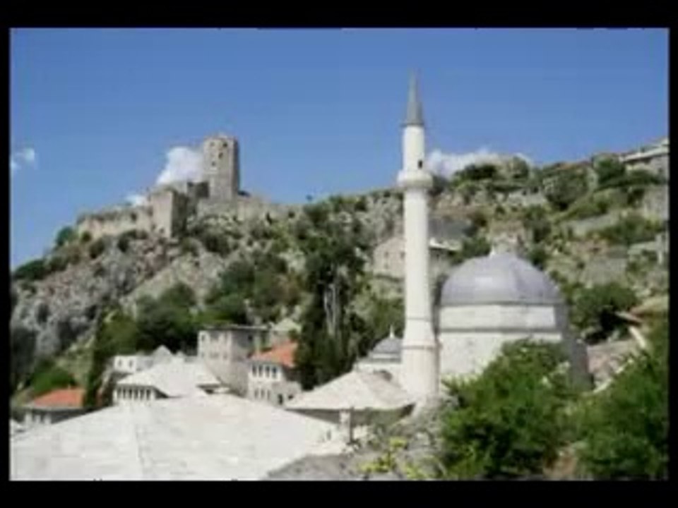 svoje bosna