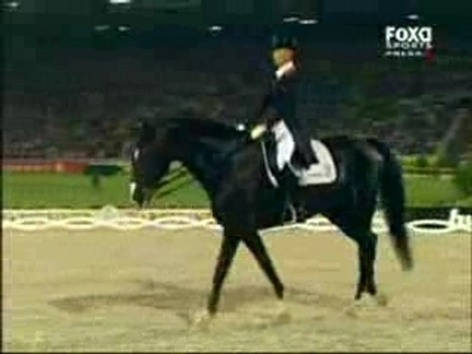 Wonderful horse