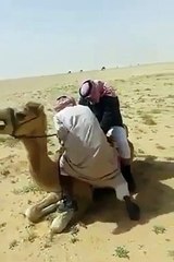 camel riding and badly fall hahahahah
