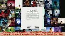 Read  Plants 2400 RoyaltyFree Illustrations of Flowers Trees Fruits and Vegetables Dover PDF Online