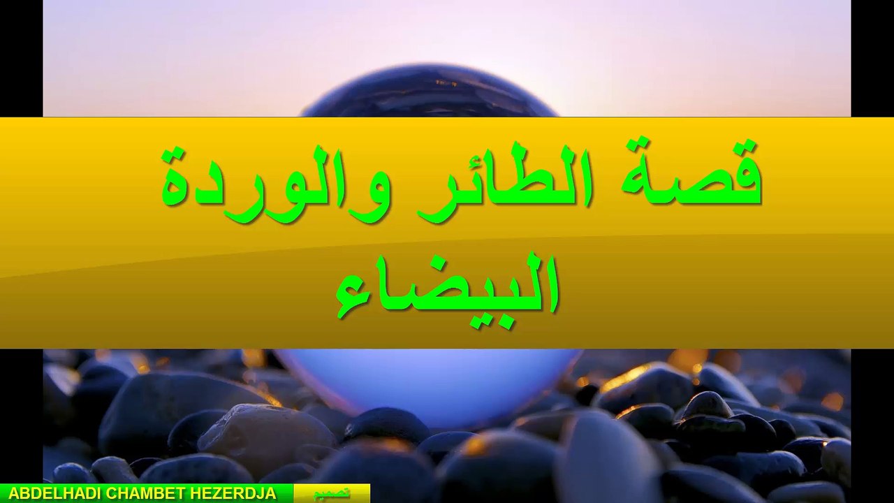 قصة الطائر والوردة البيضاء