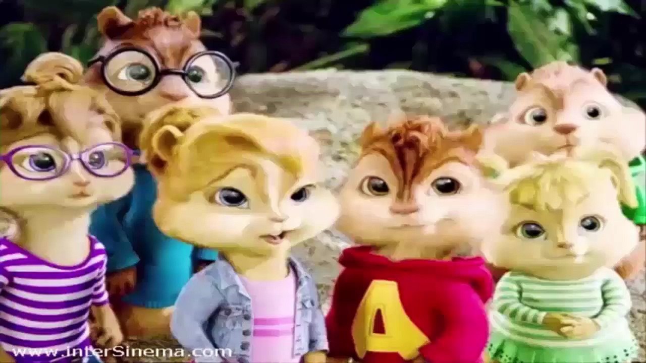 Alvin ve Sincaplar Burcu Güneş Yakın Mesafe