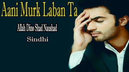 Allah Dino Shad Naushad - Aani Murk Laban Ta
