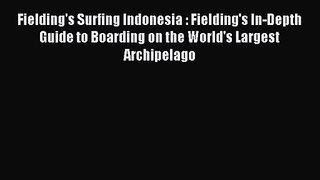 Fielding's Surfing Indonesia : Fielding's In-Depth Guide to Boarding on the World's Largest