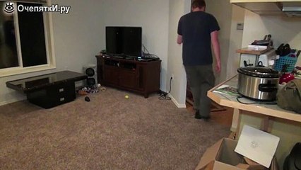 Овчарка после долгой разлуки