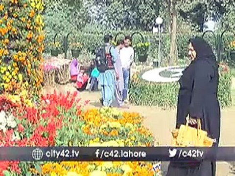 Flowers exhibition at Jilani Park Lahore