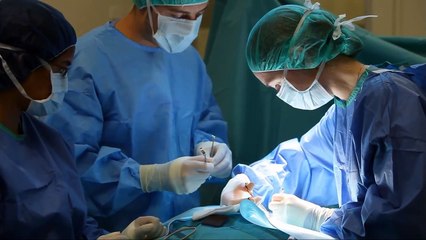 University of Melbourne & Veterinary Medicine