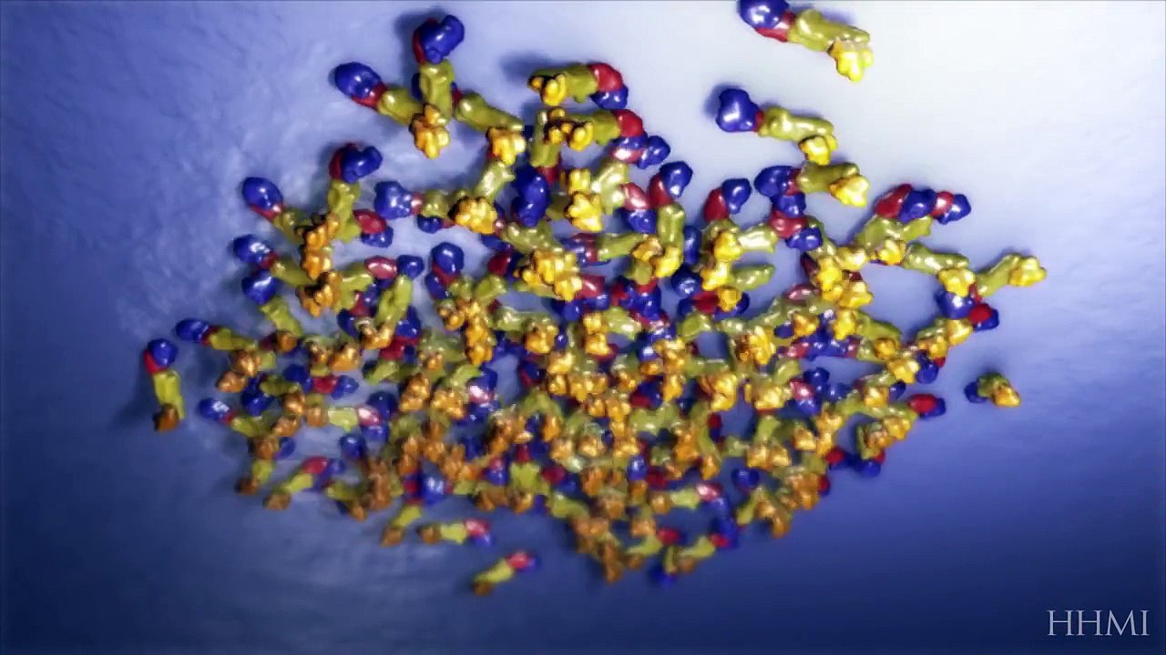 Mosquito Life Cycle — HHMI BioInteractive Video