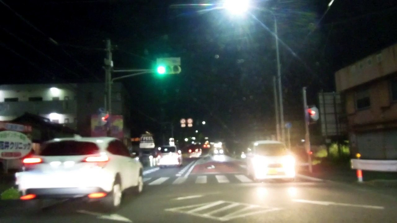 Foxes in Japan!