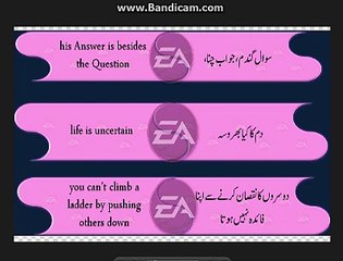 Urdu to english Sentence of daily use