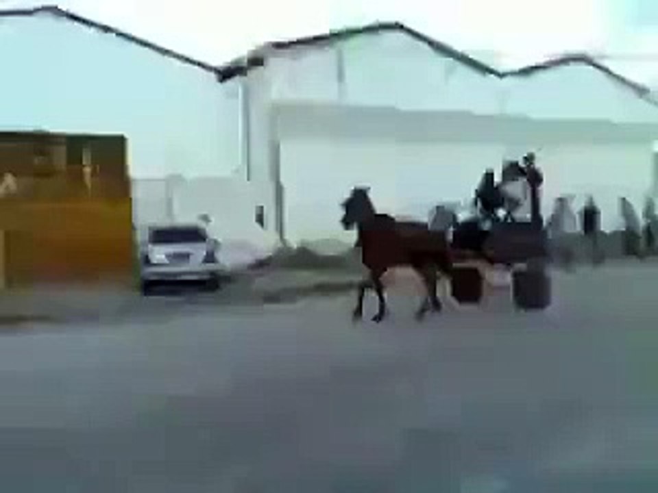 Amazing and funny movemnt