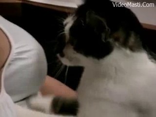 Cat Playing real balls