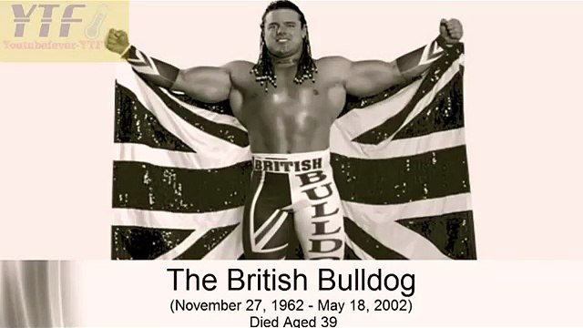 wwe superstars who died in the ring-2015