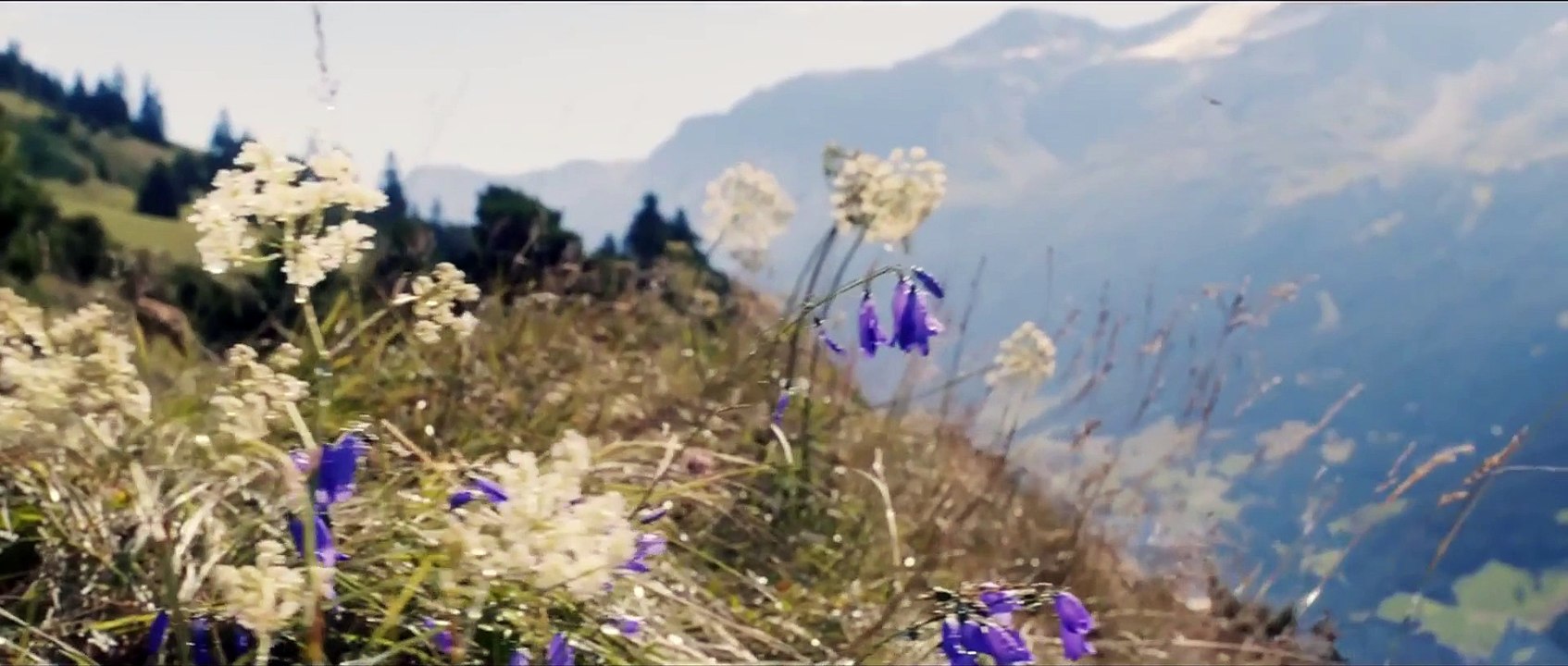 Belle & Sebastien - L'Avventura continua. Clip - La corsa sullo slittino