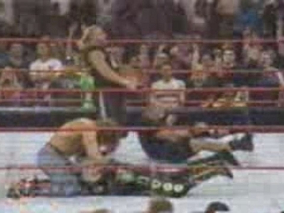 A Stunner & Pedigree at the same time -