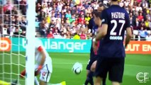 Zlatan Ibrahimovic ● PSG 2015-2016 ● Goals⁄Skills⁄Assists ¦¦ HD