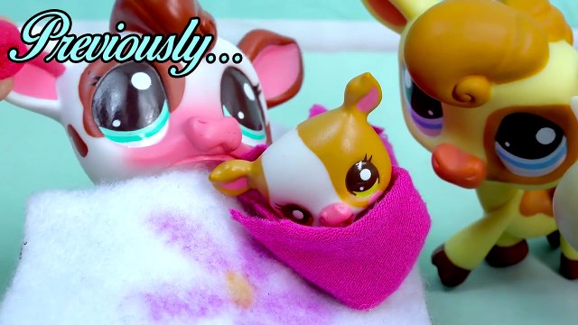 LPS Meet the New Baby - Kreams Ice Creamery Littlest Pet Shop Part 13 Video Series Cookie
