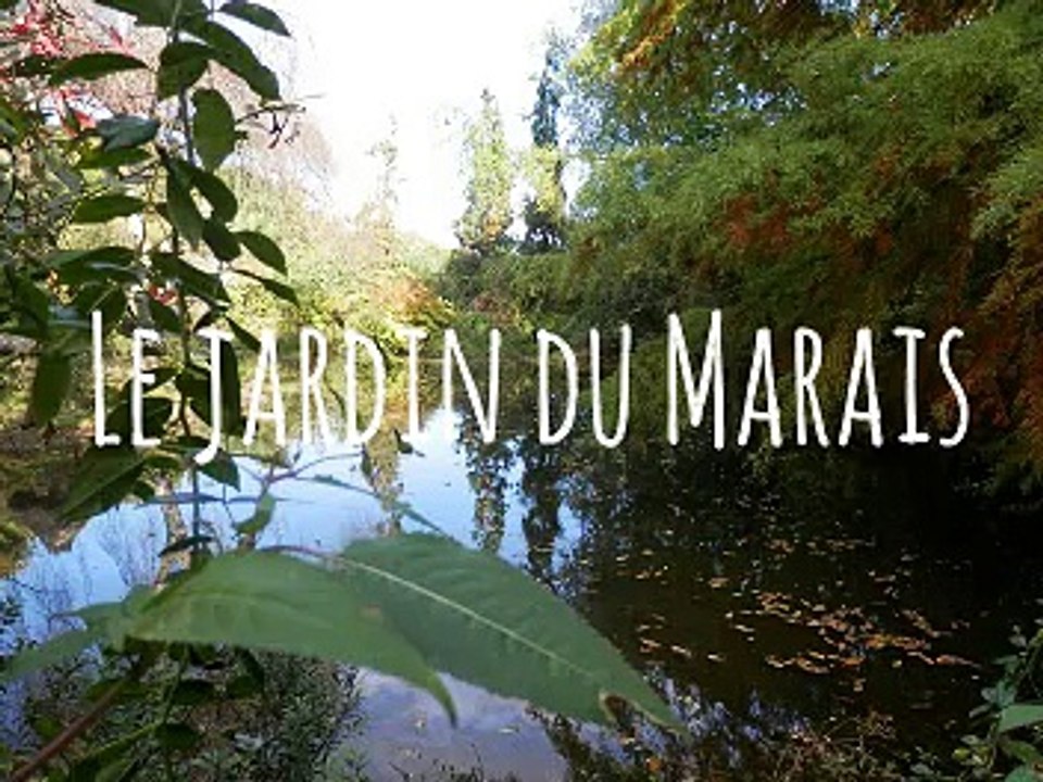 Dans les roseaux_2