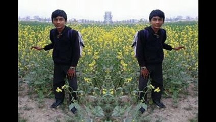 afzaal oad own songs (8)