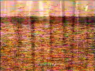 Джентльмен-шоу (ОРТ, 1999)