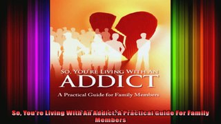 So Youre Living With An Addict A Practical Guide For Family Members
