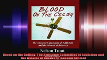 Blood on the Ceiling The Awesome Calamities of Addiction and the Miracle of Recovery