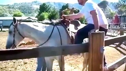 Ninja jahat Tapi Lucu