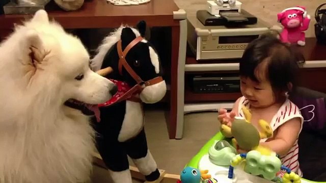 Gatos, cães e crianças - Animais engraçados e crianças