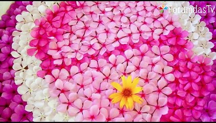 Maldiv adaları hakkında kısa bilgi