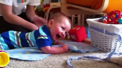 Коты забавляют детей. Смешный кошки и дети