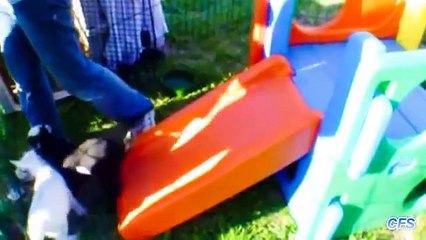 염소는 재미가있다. 재미 염소 재미