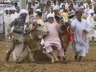 Chakwal Dharabi Jalsa, Kara Mama Safeer Talagang 1