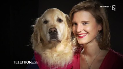 La complicité entre malade et chien d'assistance