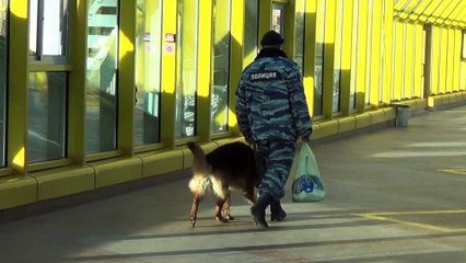 Поездка с Заем в Москву.