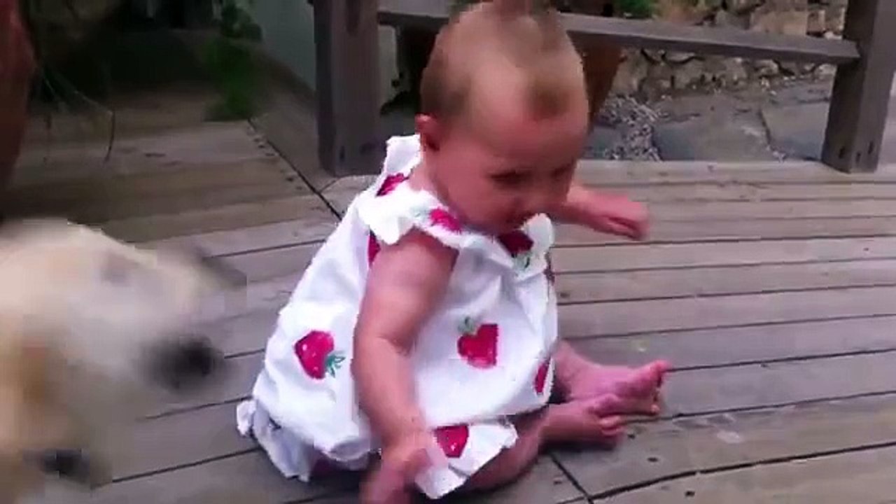 Cats and dogs meeting babies for the first time - Cute animal compilation