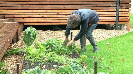 Au Royaume-Uni, des maisons surélevées contre les inondations