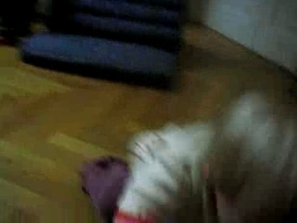 MVI_1774
