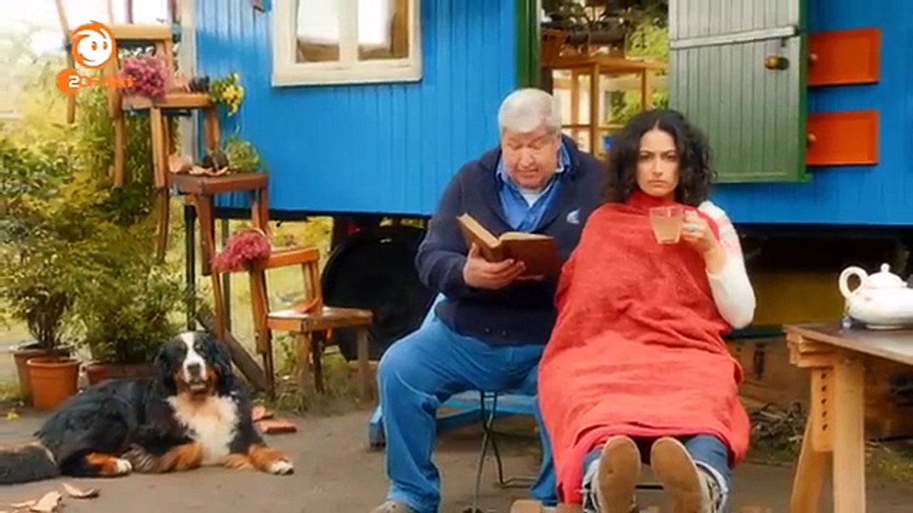 Löwenzahn Wasser und Eis