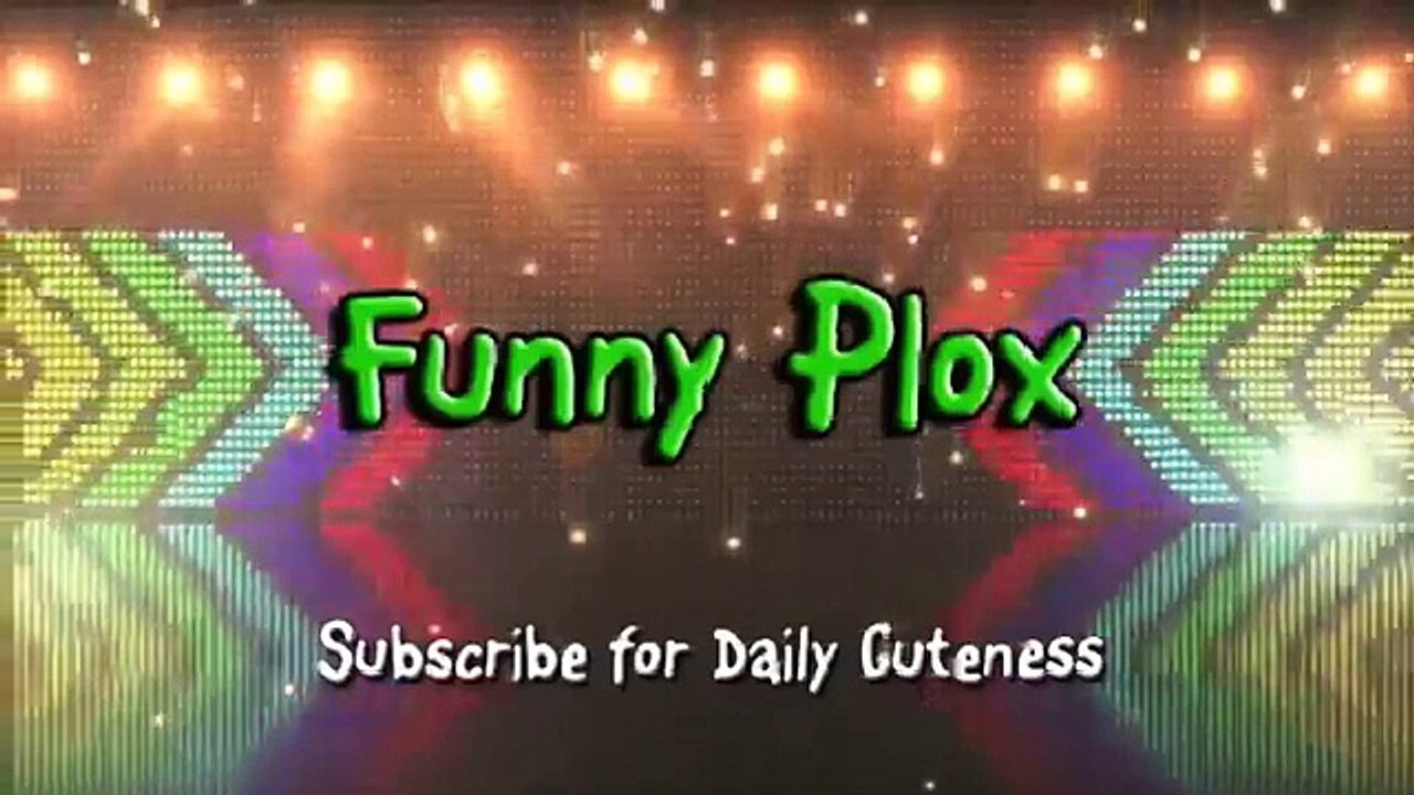 Funny and Cute Baby Goats Compilation 2015 [NEW HD]
