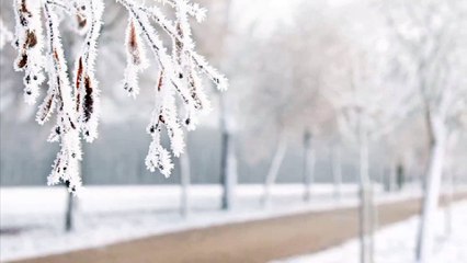 cartes de voeux 2018