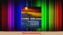 Read  Catastrophes and Lesser Calamities The Causes of Mass Extinctions Ebook Free