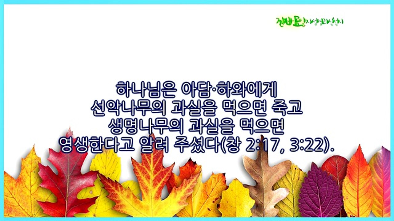 약속의 목자와 믿음