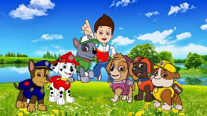 動畫片, Paw Patrol Finger Family, Cartoons for kids, Finger Family Songs 2015