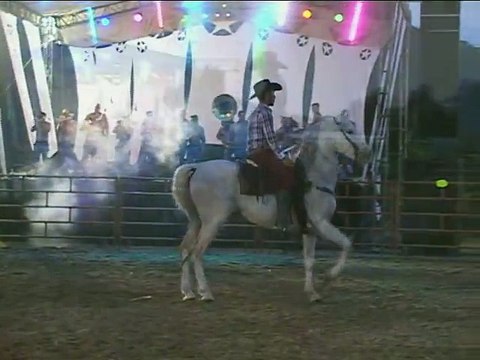CABALLOS BAILADORES EN LA FERIA DEL VERGEL 2015 por JUAN CARLOS MIRANDA CERPA.