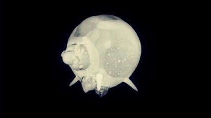 Movies of Cold War Bomb Tests Hold Nuclear Secrets