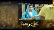 Gul E Rana Episode 6 Promo HUM TV Drama 5 Dec 2016