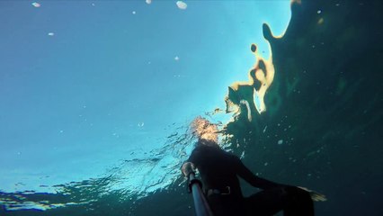 diving deep in the abyss to a seal lounge