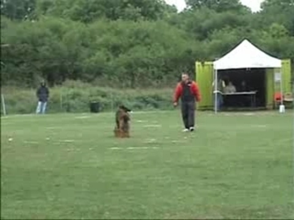 Vidéo de Virus au 2eme sélectif 2007 Beauvais 374.825 Pts